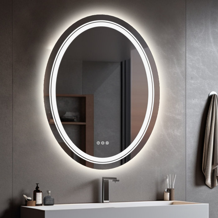Wrought Studio Francesa Oval LED Wall Mirror & Reviews | Wayfair